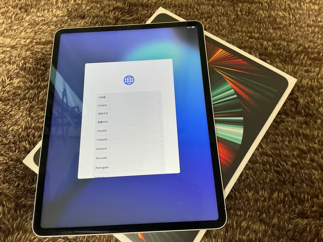 iPad Pro 12.9インチ (第5世代) 256GB 美品【訳あり】
