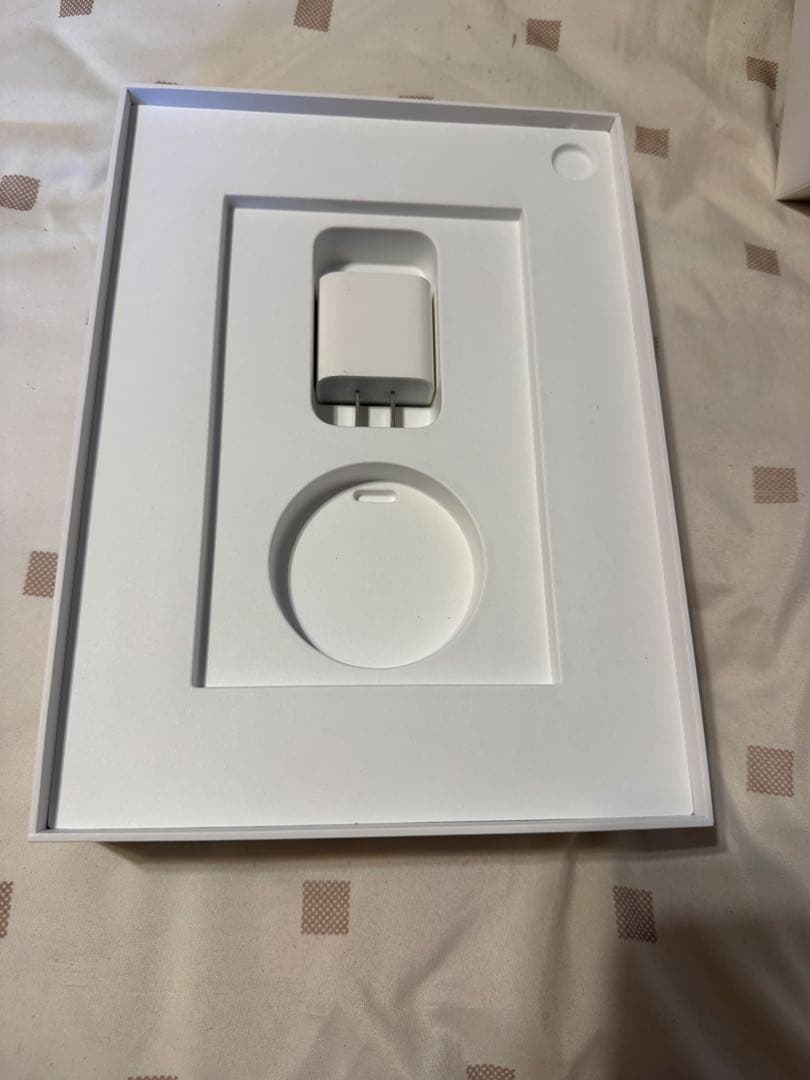 Apple iPad 本体 シルバー256GB Wi-Fiモデル