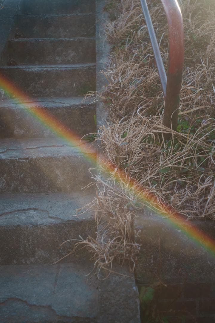 世界最古の交換レンズ！Leica Elmar 50mm F3.5 オールドレンズ
