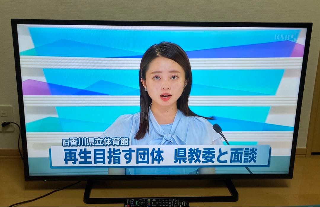 Panasonic TH-43D305 パナソニック　43インチ　テレビ