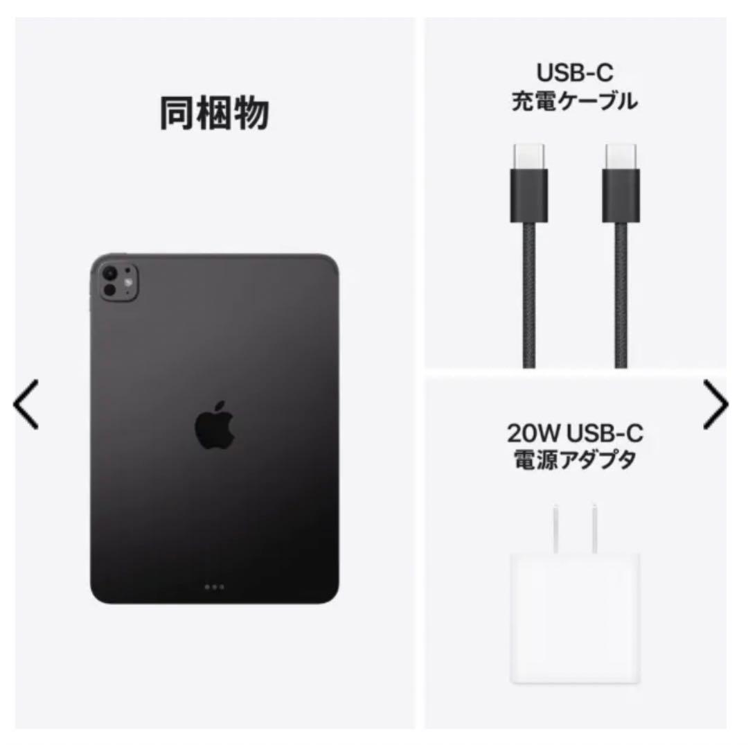 iPad Pro M5 11インチWi-Fiモデル 256GB スペースブラック