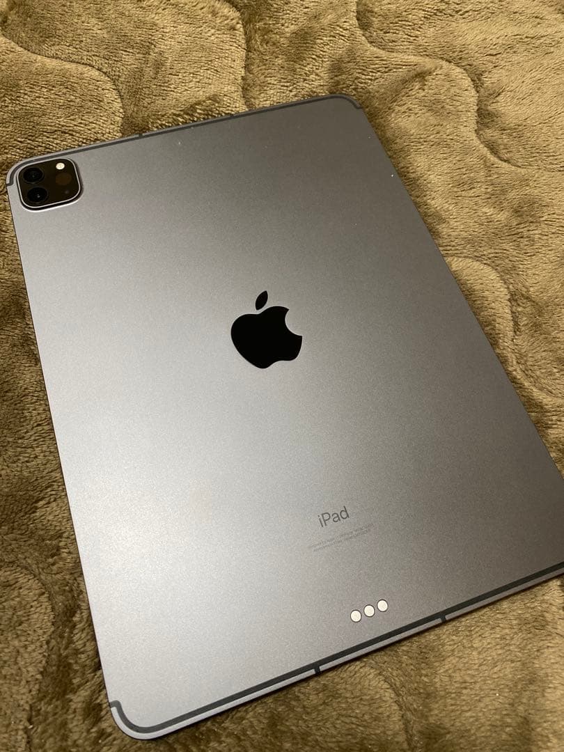 iPad Pro (11インチ) 第3世代 256GB Cellular