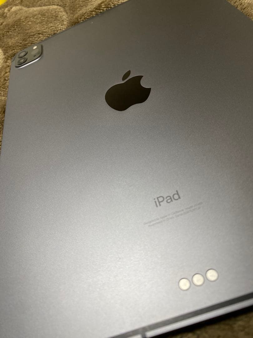 iPad Pro (11インチ) 第3世代 256GB Cellular