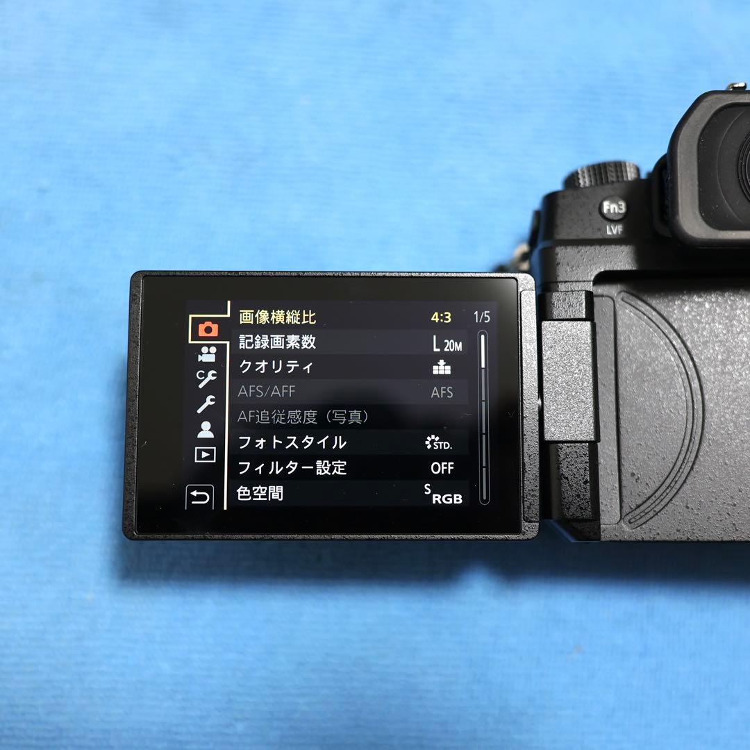 LUMIX G99 ミラーレスカメラ ボディ