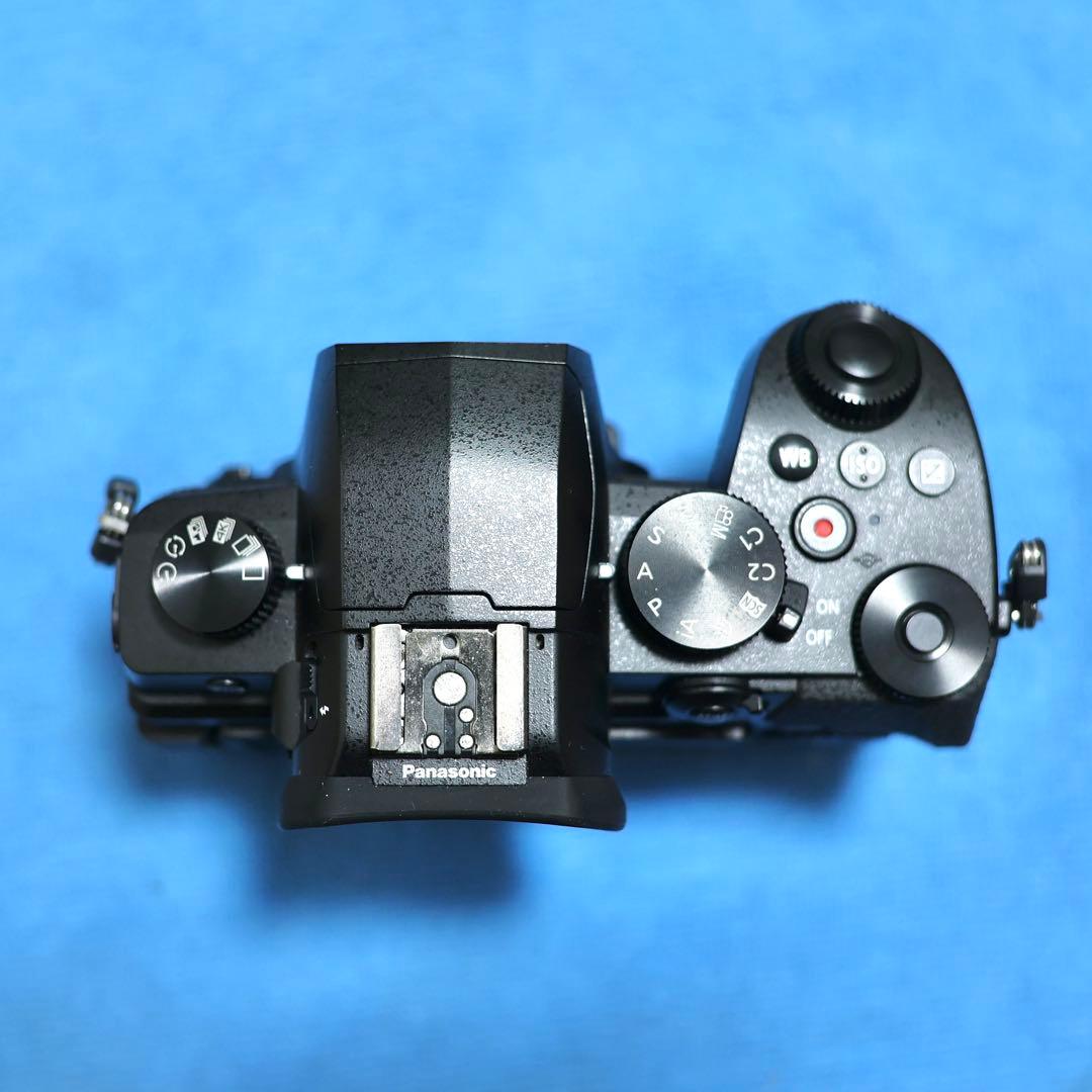 LUMIX G99 ミラーレスカメラ ボディ