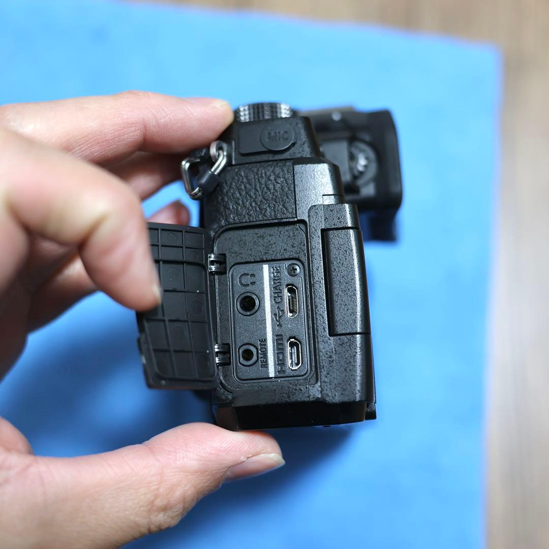 LUMIX G99 ミラーレスカメラ ボディ