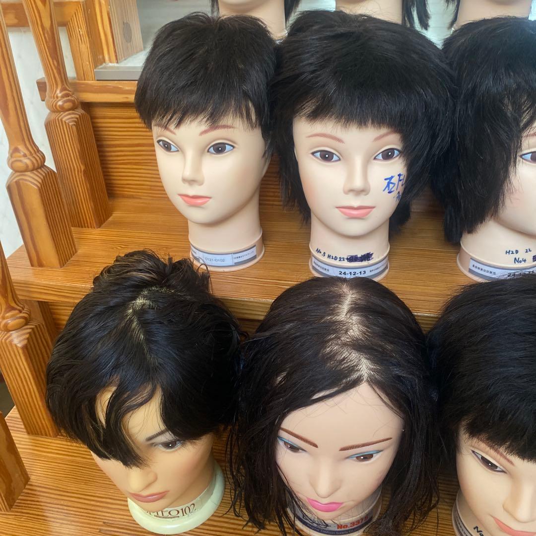 練習用カットウィッグ　12体セット