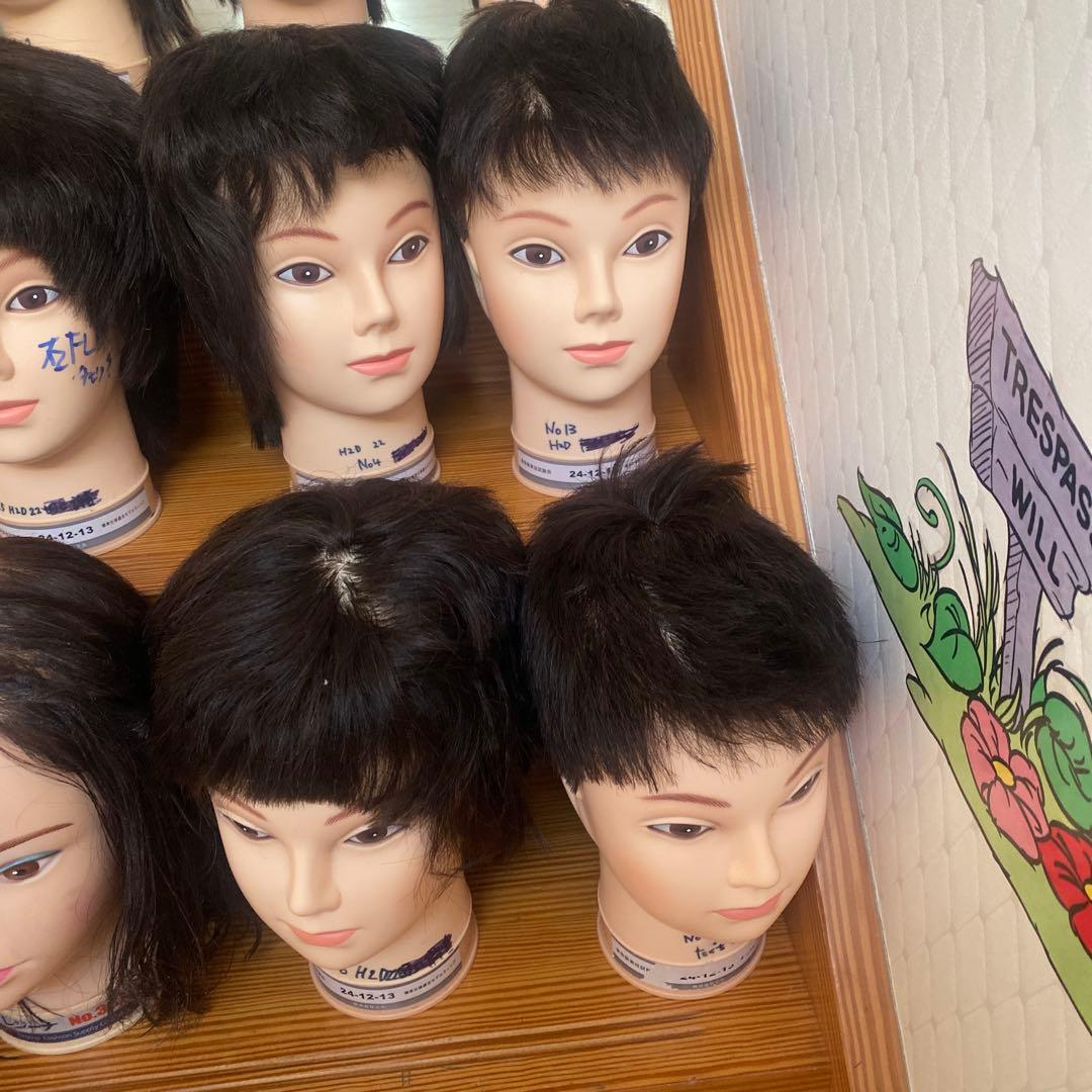 練習用カットウィッグ　12体セット