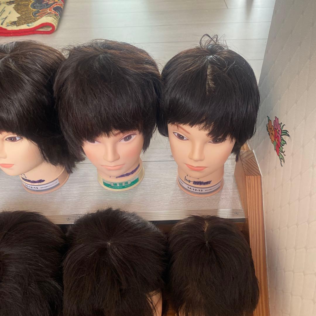 練習用カットウィッグ　12体セット