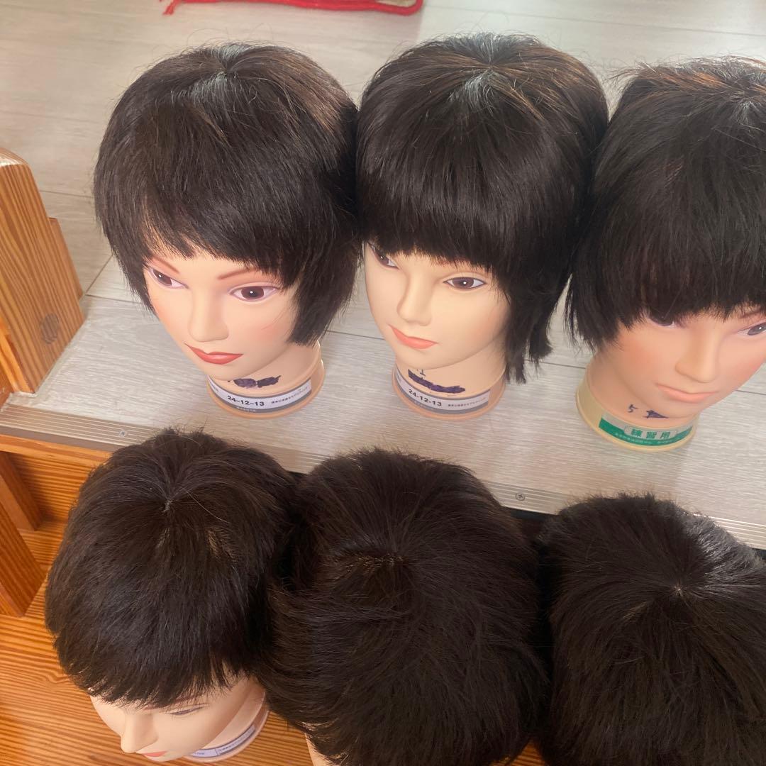 練習用カットウィッグ　12体セット