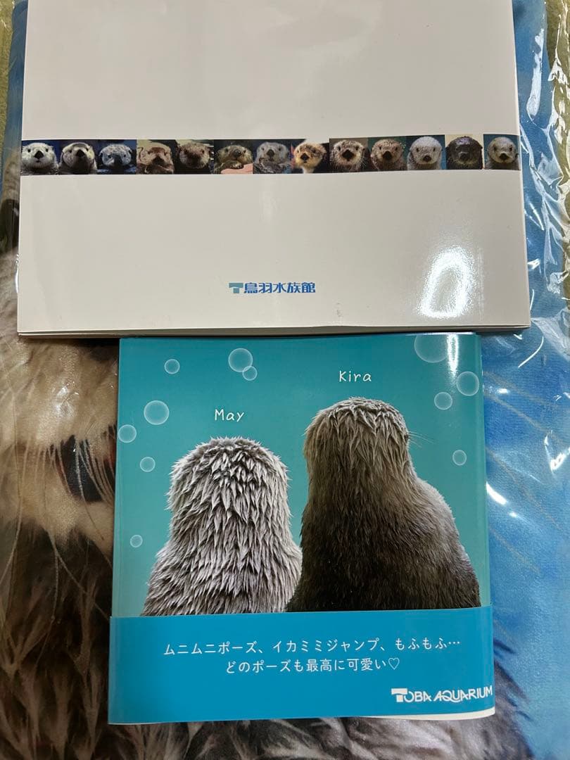 鳥羽水族館　ラッコ　本　ブランケットセット