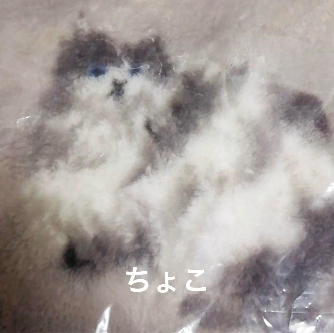 正規品♡ジェラートピケ Sleep CAT プリント毛布 ラグドール 猫 布団