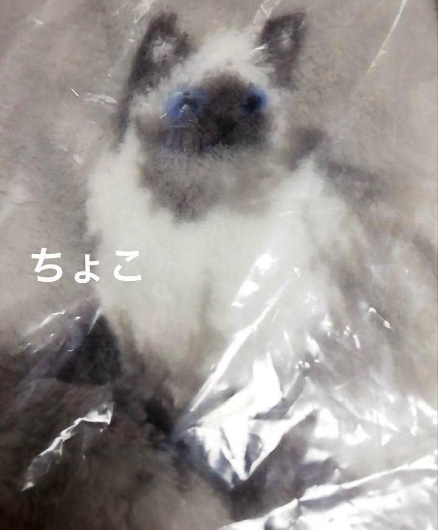 正規品♡ジェラートピケ Sleep CAT プリント毛布 ラグドール 猫 布団