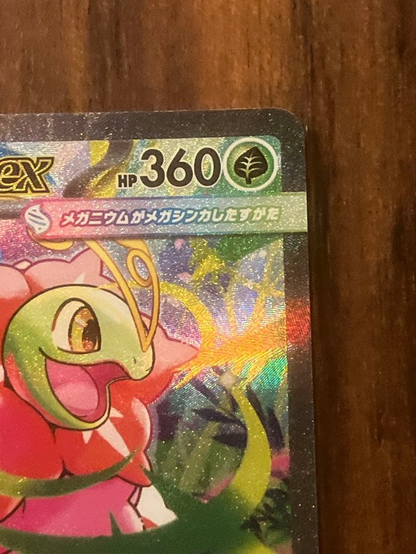 メガメガニウムex SAR仕様　スタートデッキ100 101/100