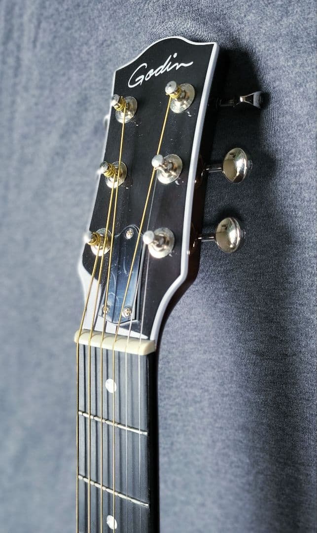 ギター Godin Rialto JR Satina Gray