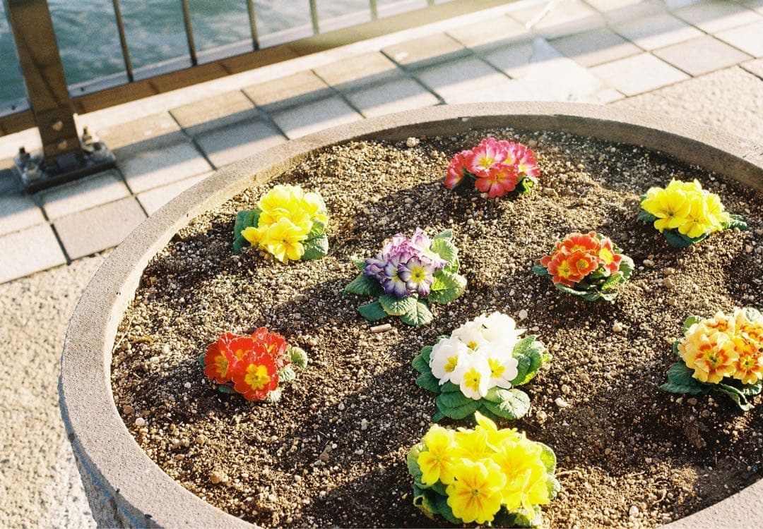 NikonFM2 ＋NIKKOR 50mm ＋ライト＋レンズ2個