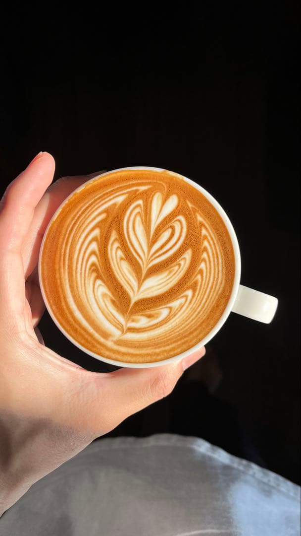 Gaggia Classic evo proエスプレッソマシン