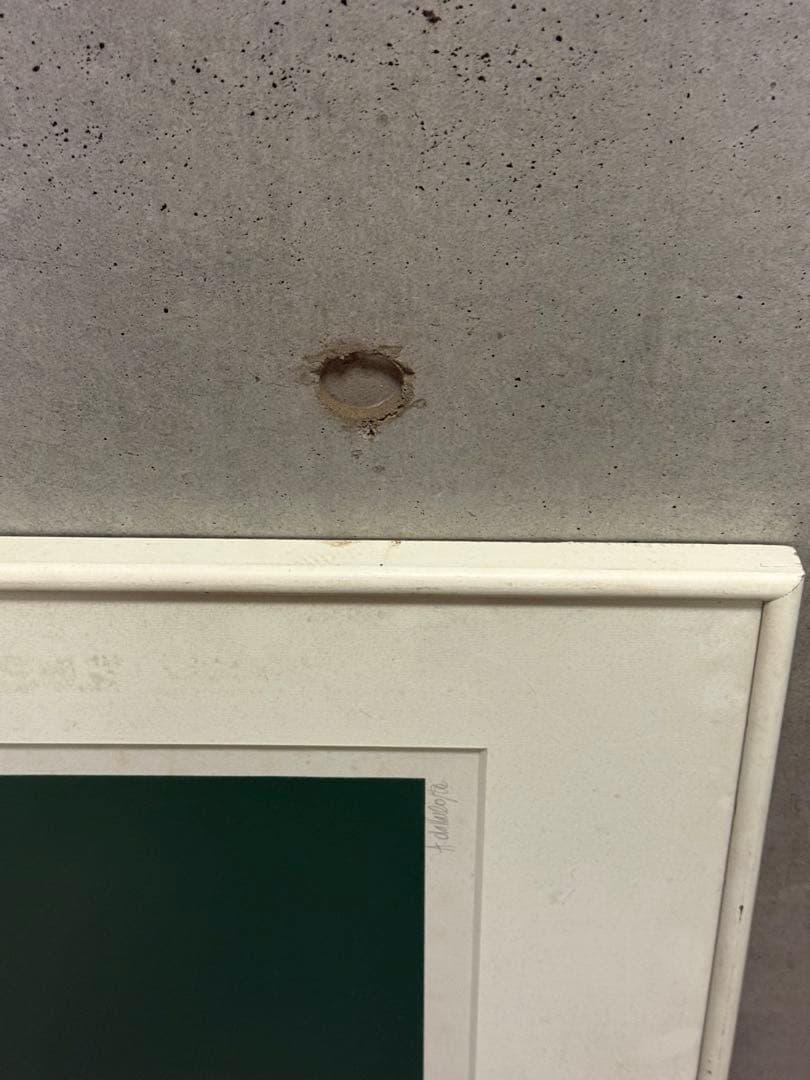 希少　Amleto Dalla Costa シルクスクリーン作品