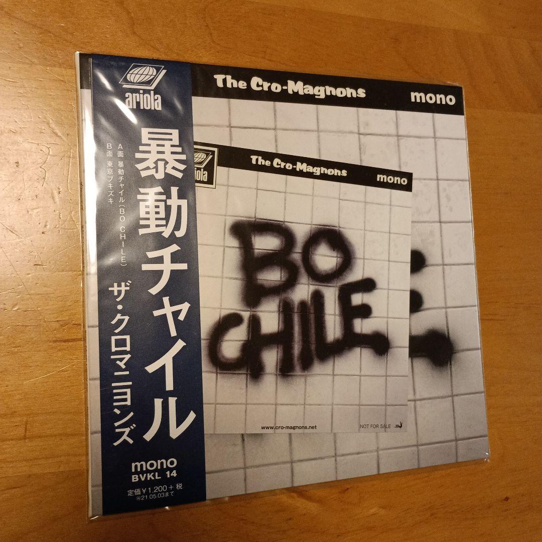 レコードコレクション 14枚セット クロマニヨンズ