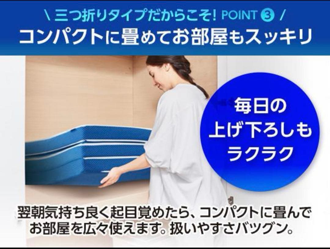 【連休中特別価格】新品 トゥルースリーパー プレミアリッチ 三つ折りシングル