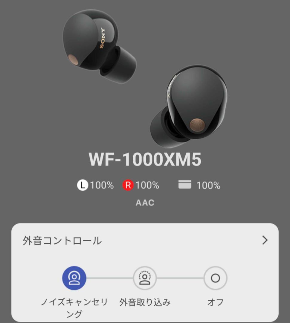 【動作OK】SONY ソニー ワイヤレスイヤホン WF-1000XM5 ブラック