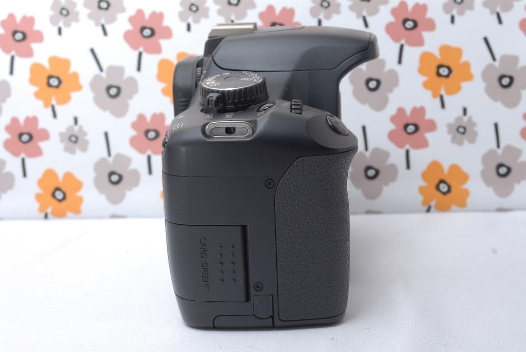 ❤Canon Kiss X2❤ショット数1711回！❤はじめての一眼レフに❤美品