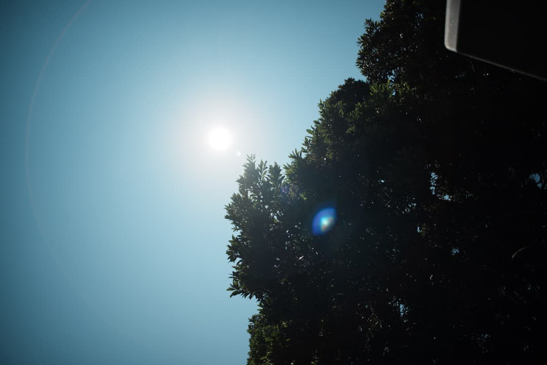 整備＆テスト済 Nikon AF Nikkor 24mm F2.8 D 994