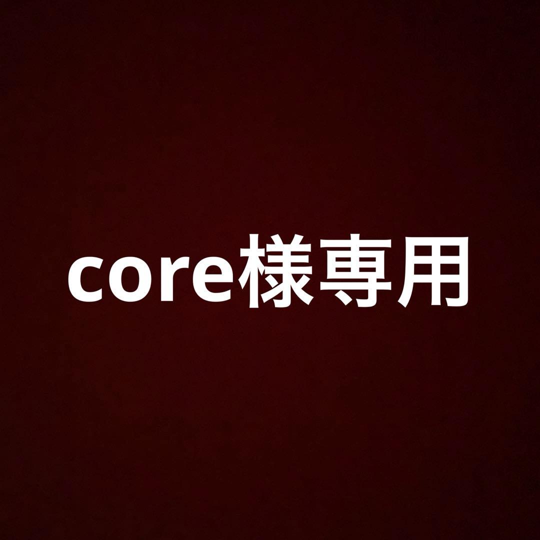core専用