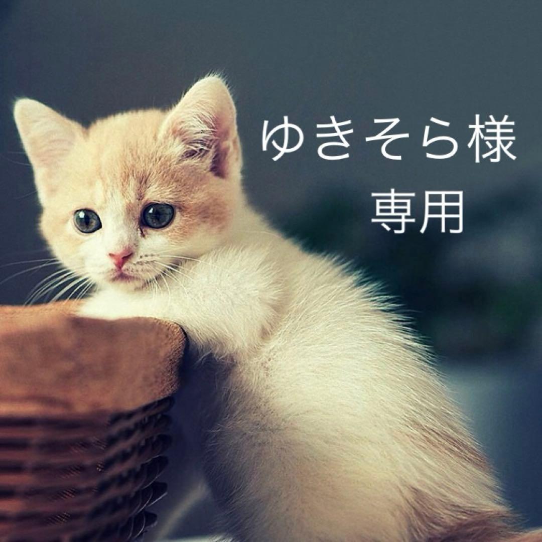 ゆきそら様 リクエスト 9点 まとめ商品