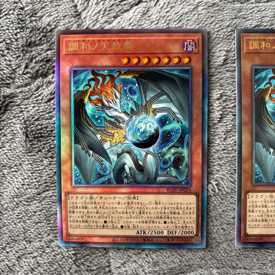 調和ノ天救竜 レリーフ　2枚セット