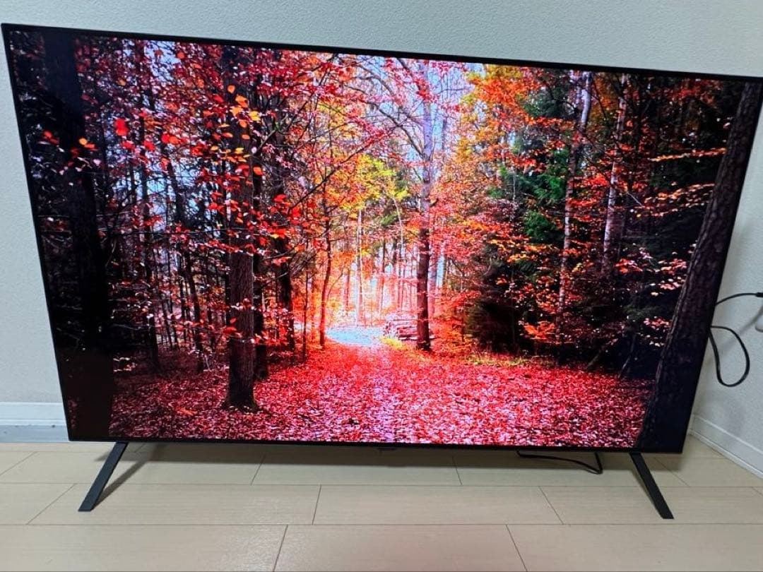 LG OLED 55インチ4K有機ELテレビ OLED55A2PJA