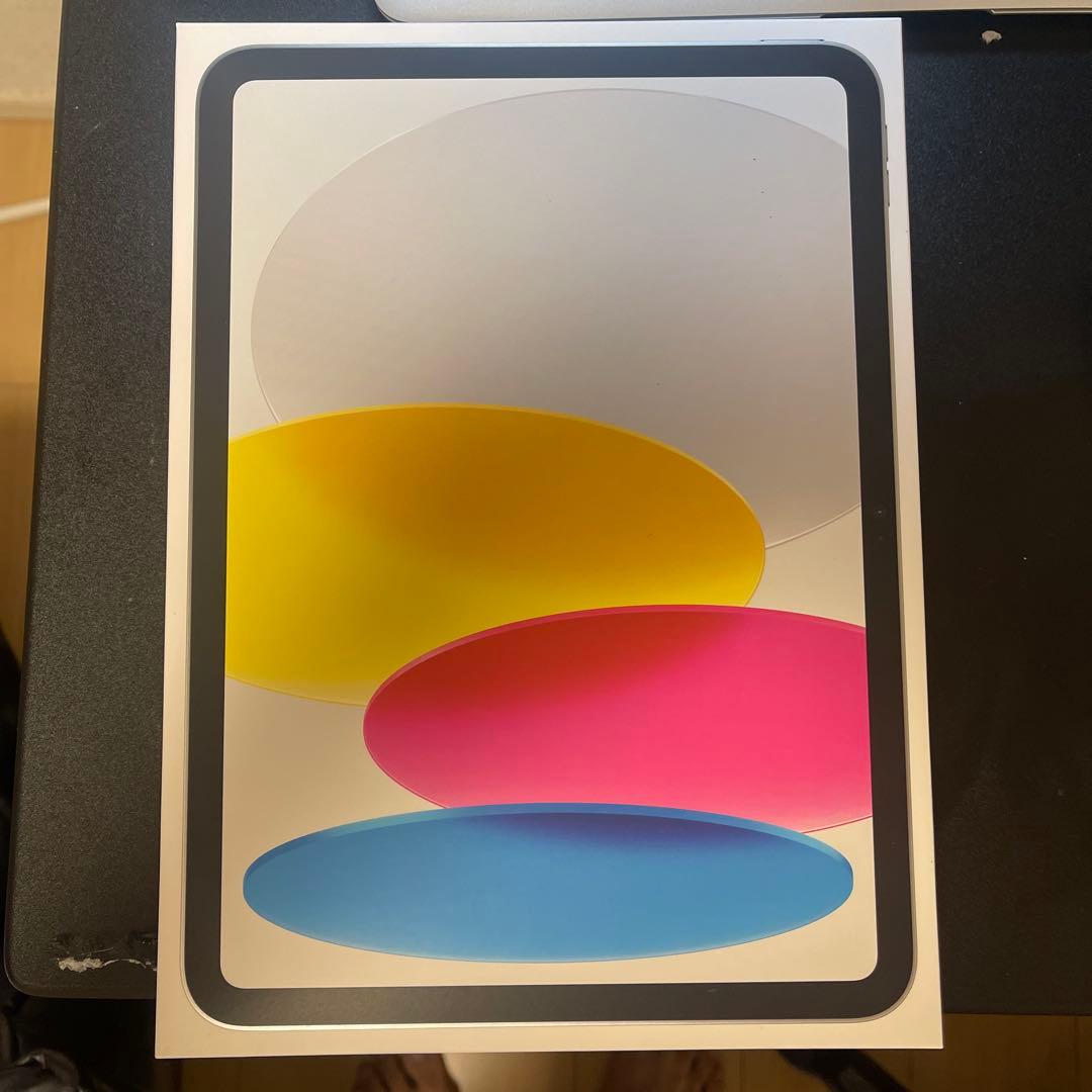 iPad（A16） Wi-Fiモデル　シルバー256GB本体とケースとペン付き