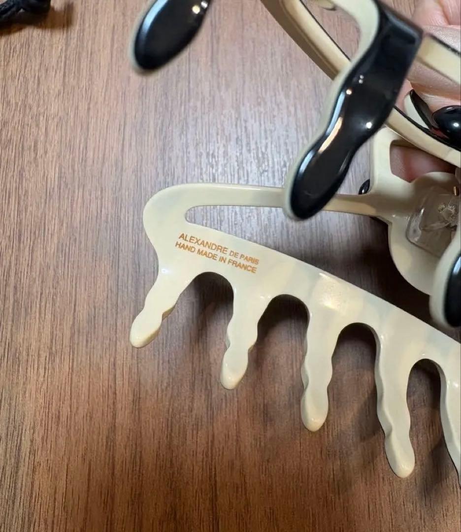 ALEXANDRE DE PARIS ヘアクリップ Lサイズ ポーチ付き