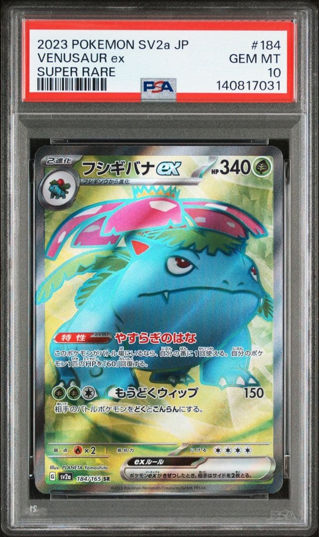 フシギバナ　リザードン　カメックス　PSA10 3連番