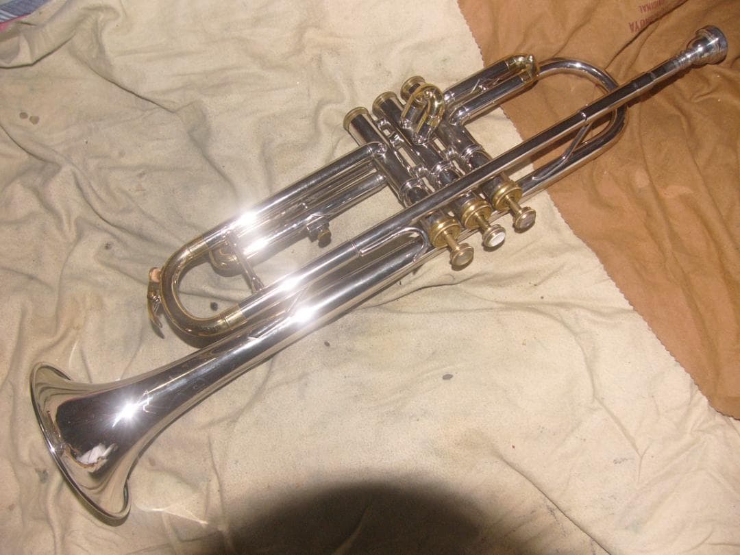 ビンテージ銘器種！！ニッカンNIKKAN JAPAN NO.20/クロームメッキ