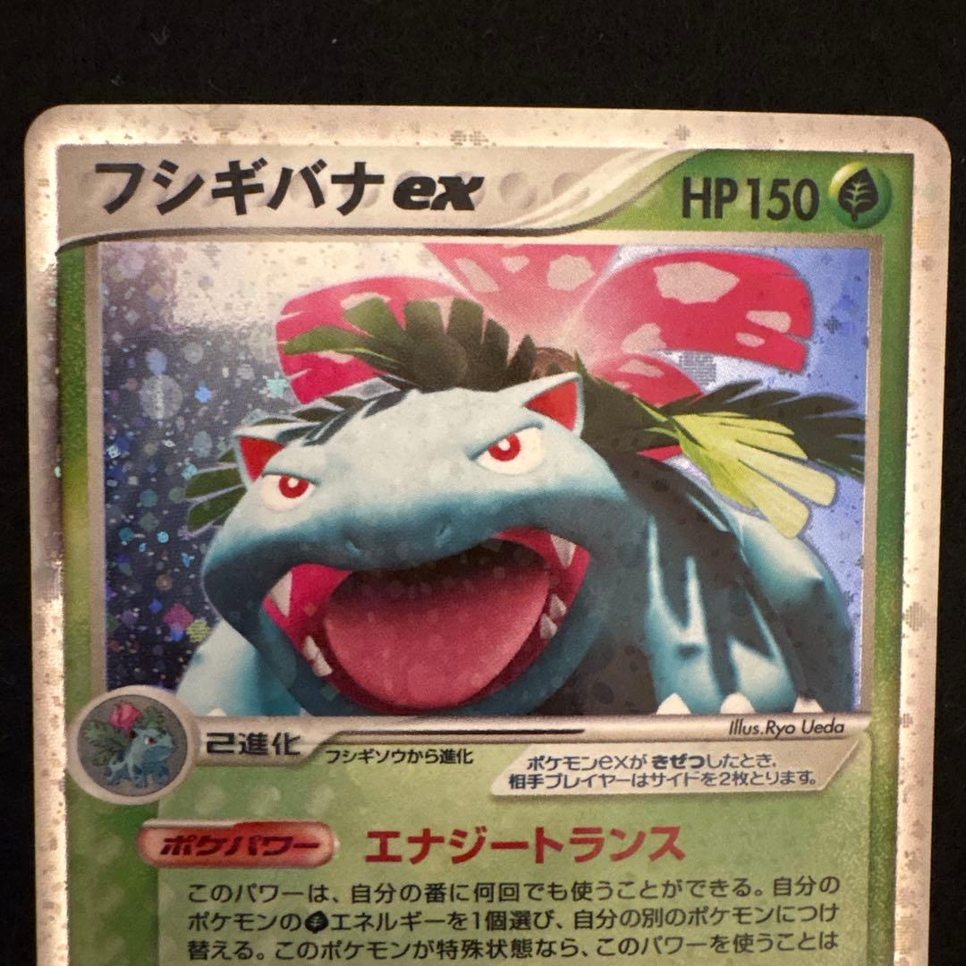 ふ*ぅ様 #ゆんの気まぐれオークション　（松）　フシギバナ　リザードン　カメック