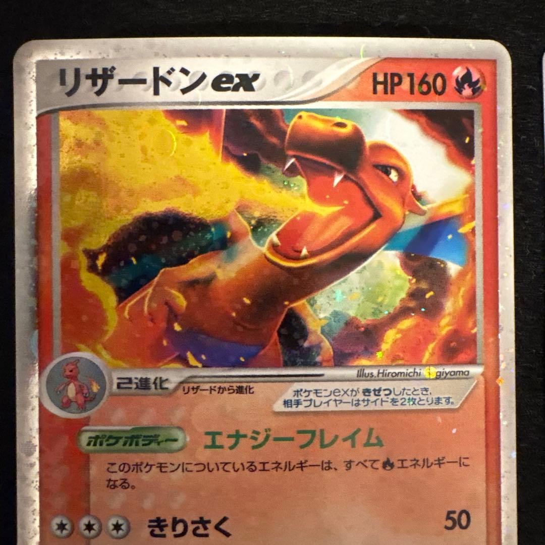 ふ*ぅ様 #ゆんの気まぐれオークション　（松）　フシギバナ　リザードン　カメック