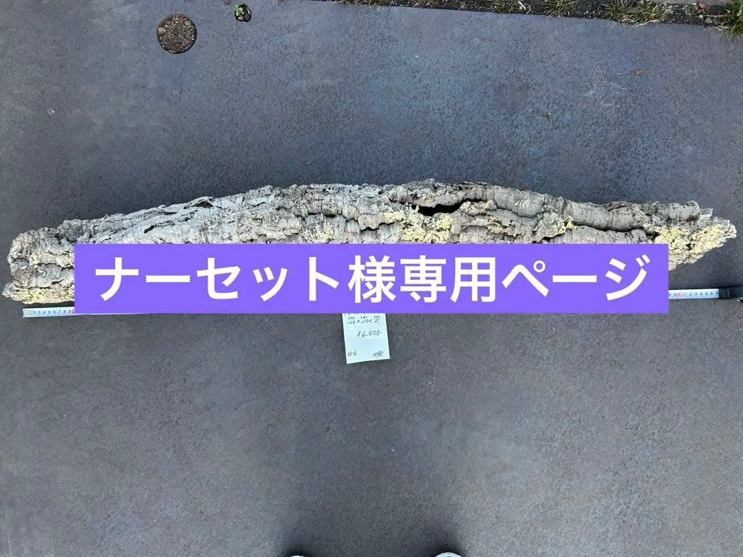 ＰＬ-0106-Ｌ5 1127-Ｌ2 0105-ＬＬ1