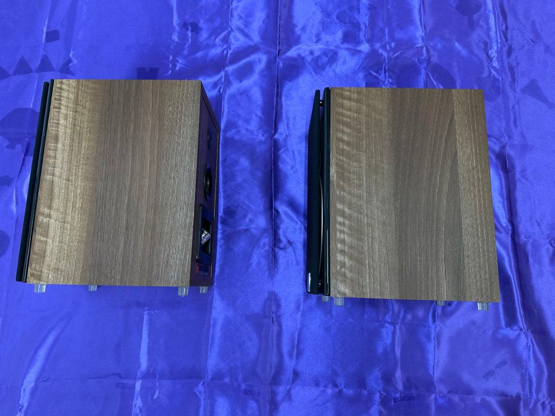 DALI ZENSOR 1 動作確認済み　同一シリアル