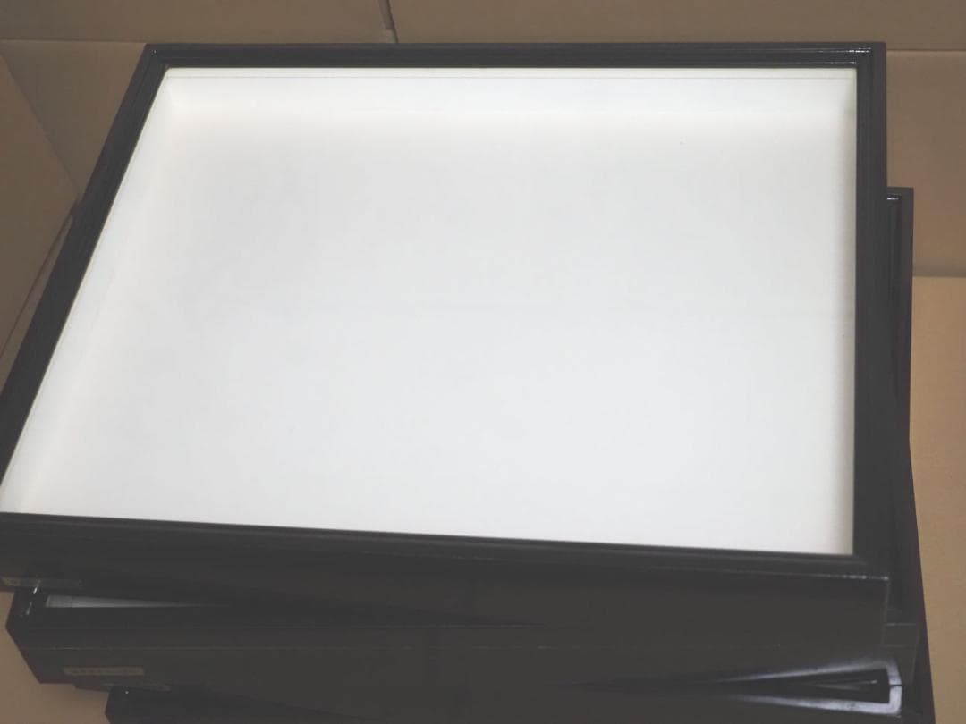 標本箱 ドイツ箱　大型　5個セット
