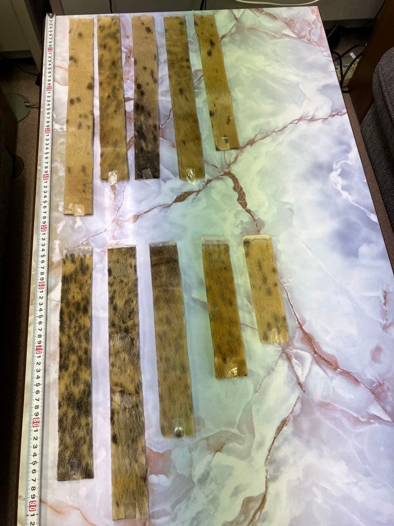 山スキーシール10点セット（接着剤は付いていません）