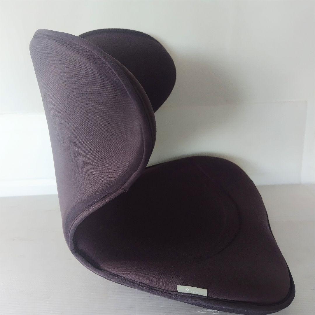 【骨盤矯正】MTG　Style　SMART