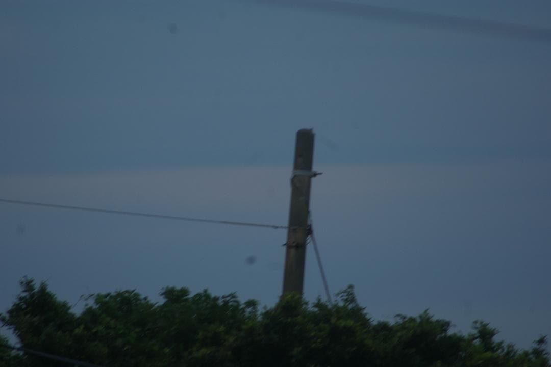 シグマ　AF　ｆ＝400mmLENS中古動作品の出品です。