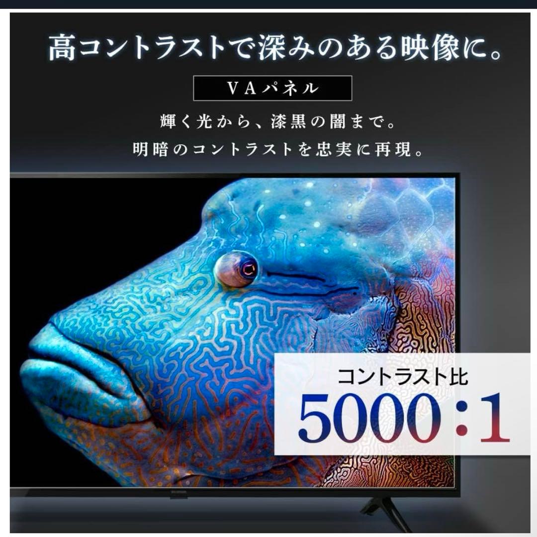 【最終値下げ】IRIS OHYAMA 55インチ 4Kテレビ