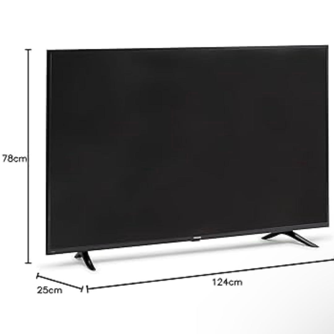 【最終値下げ】IRIS OHYAMA 55インチ 4Kテレビ