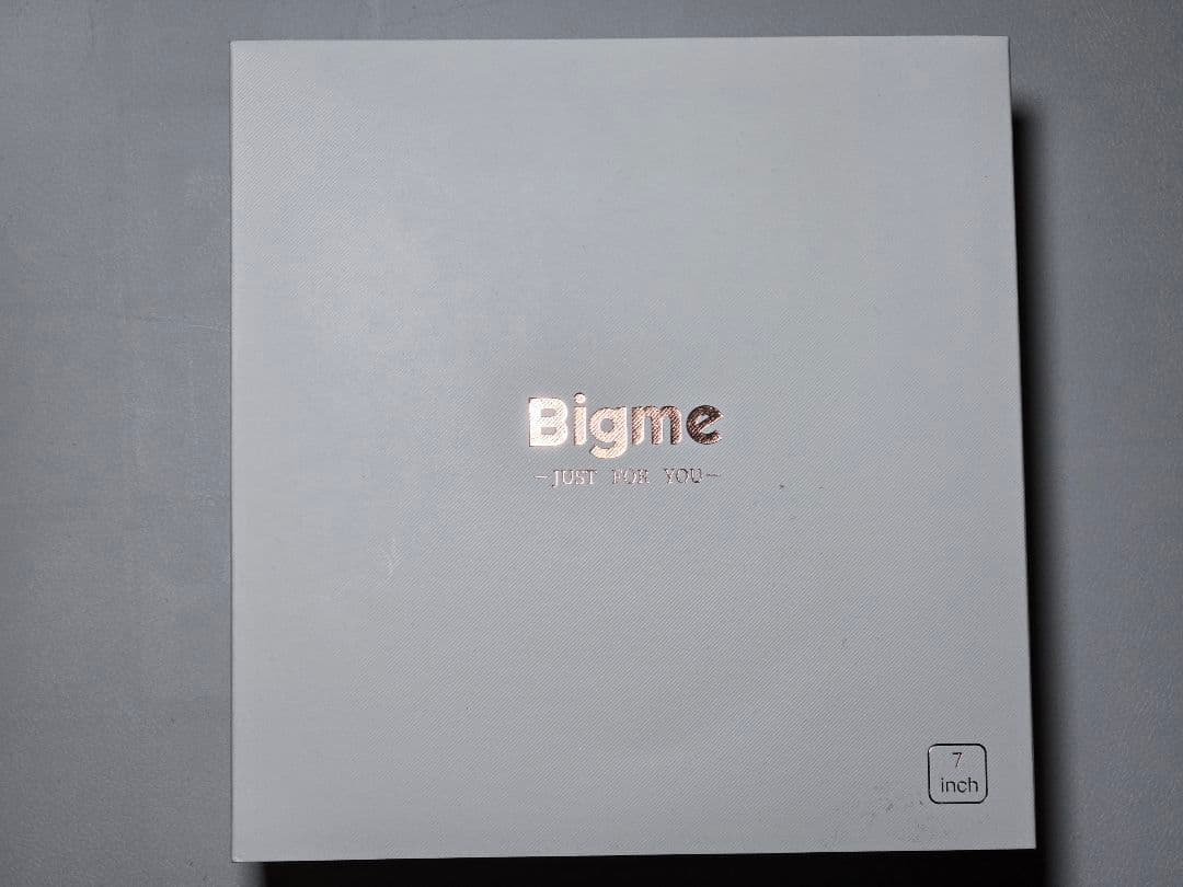Bigme B751C タッチペン ケース付