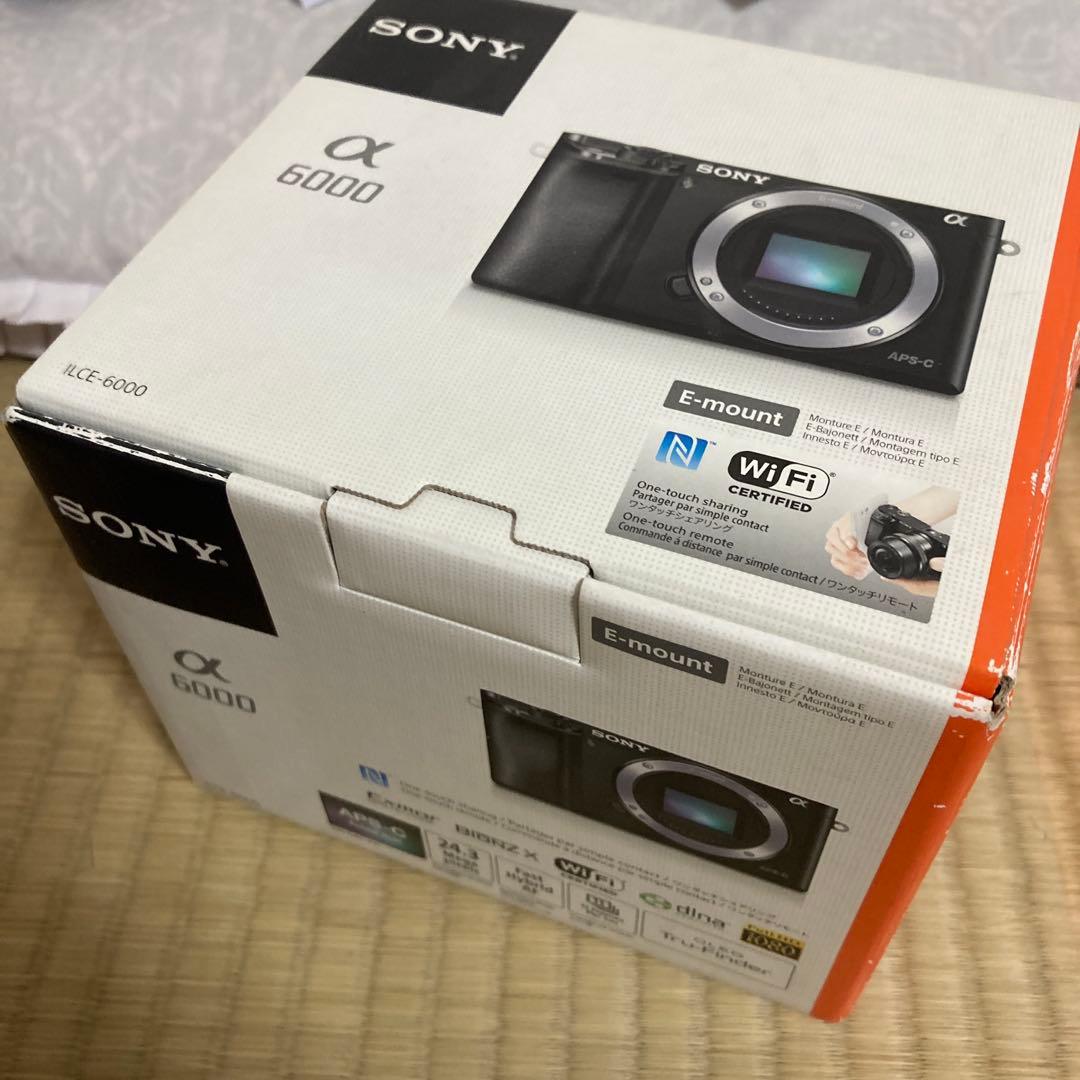 ✴*︎様 SONY α6000 ミラーレス一眼 本体　レンズ2本
