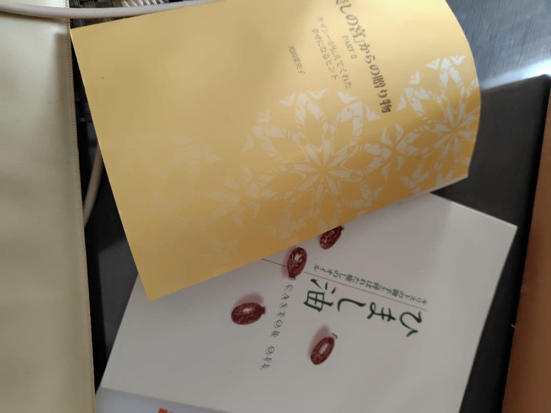 ひまし油湿布セット　エドガーケーシー　テンプルビューティフル。