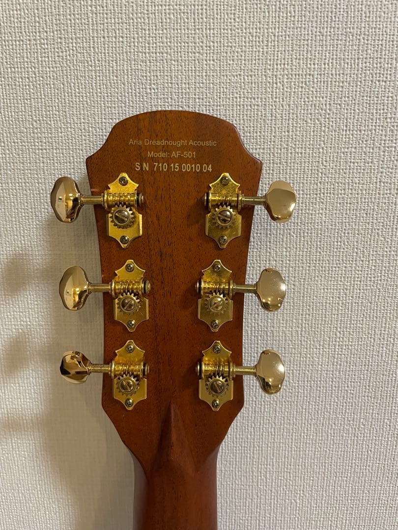 アコースティックギター aria af501