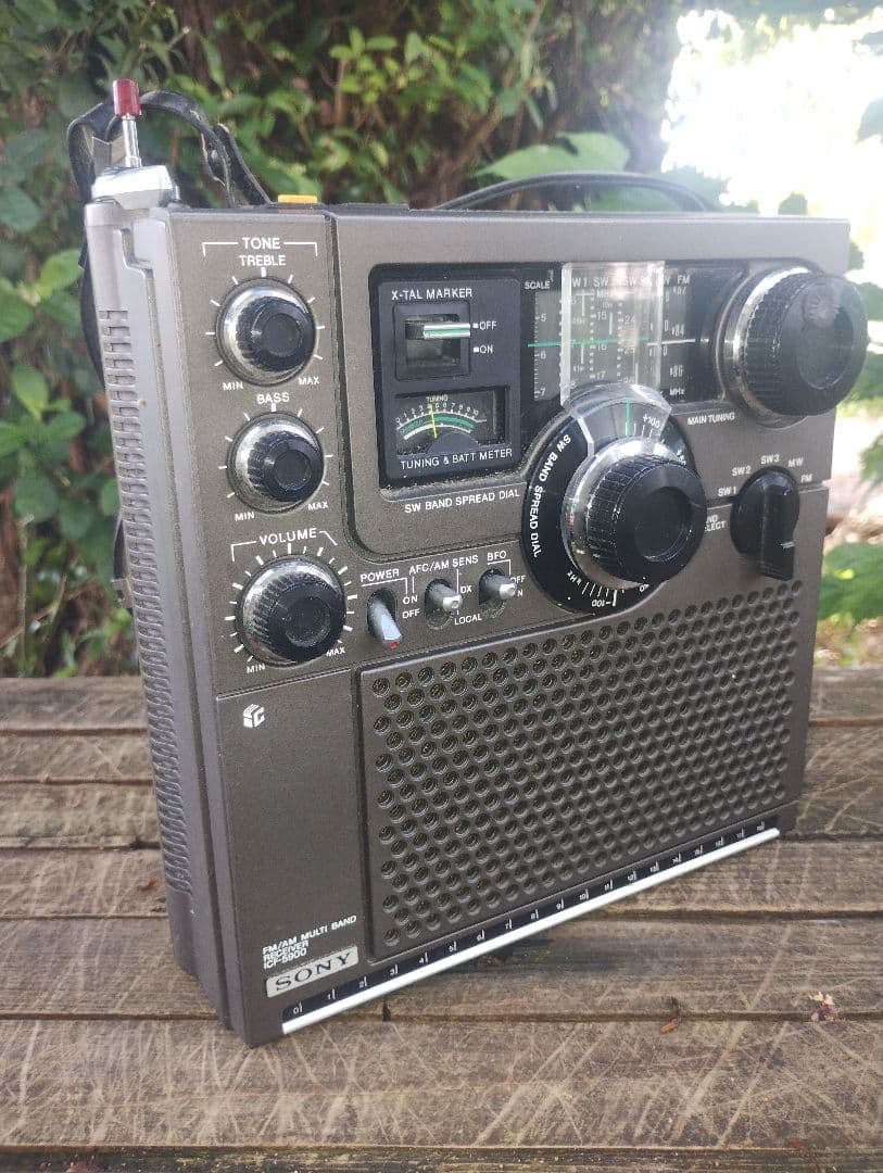 ソニースカイセンサーICF5900